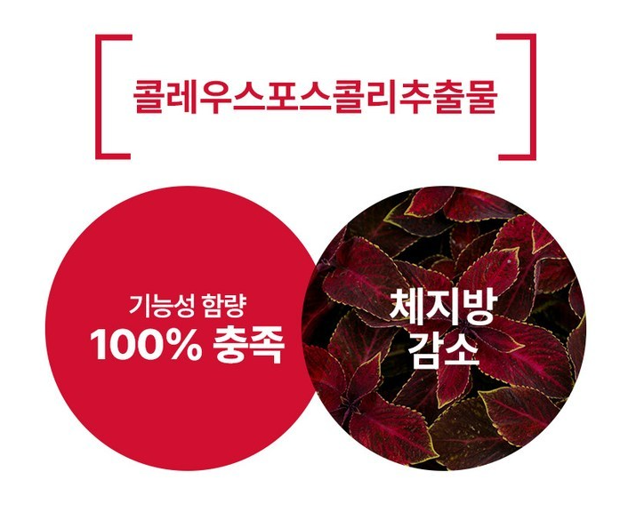 콜레올로지 티의 성분 표기 사진