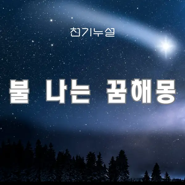 불 나는 꿈해몽