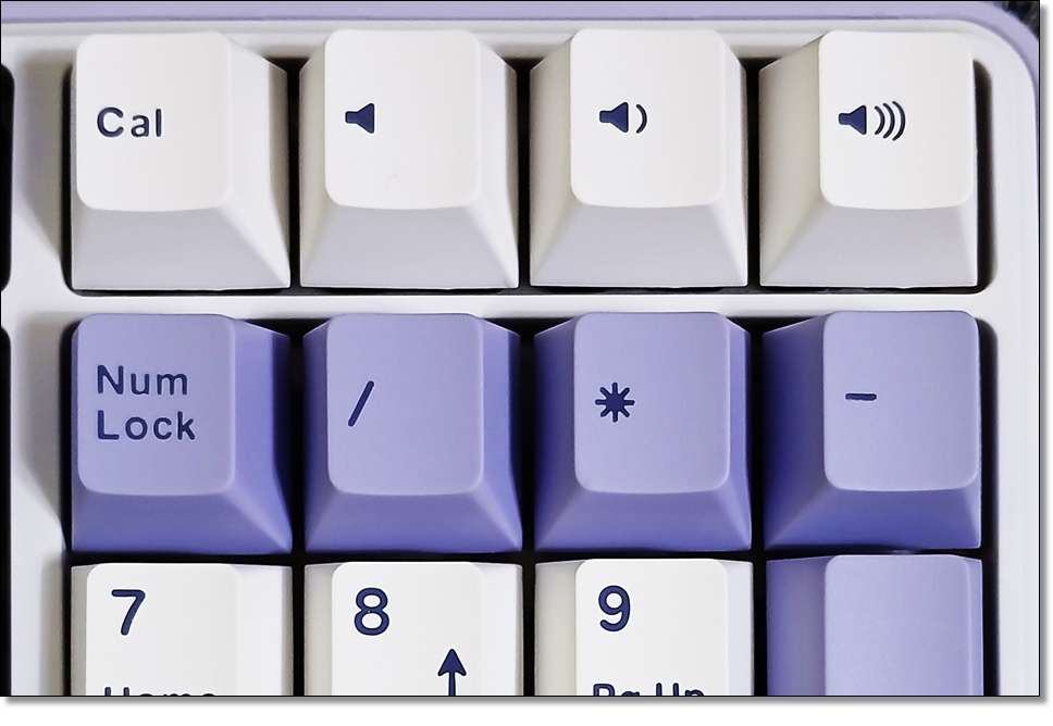 COX-C108-퍼플-용과축-리뷰