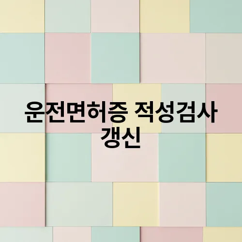 운전면허증 적성검사 갱신