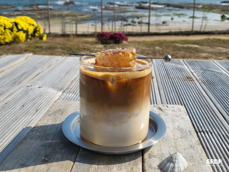 아야진-스위밍터틀-강원도-고성-오션뷰-카페