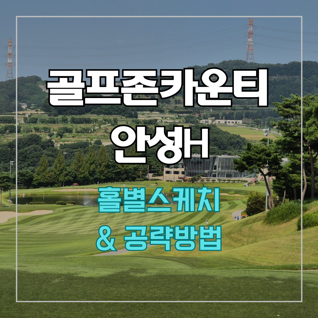골프존카운티 안성H