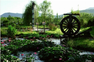 세미원 입장료 및 근처 맛집