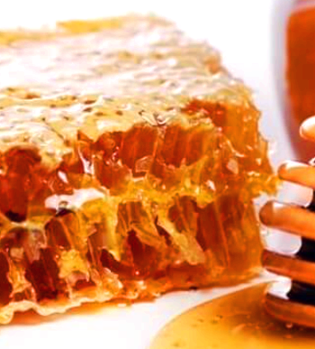 프로폴리스 효능