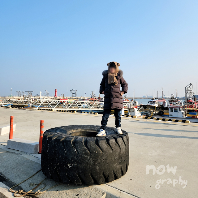 장고항