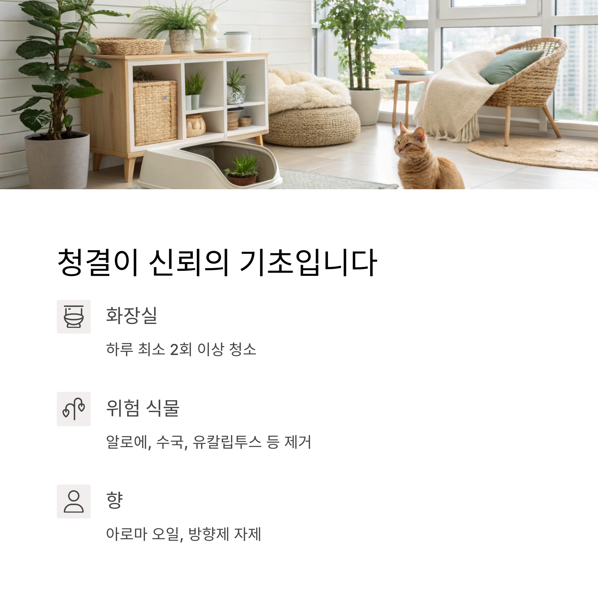 청결이 신뢰의 기초입니다