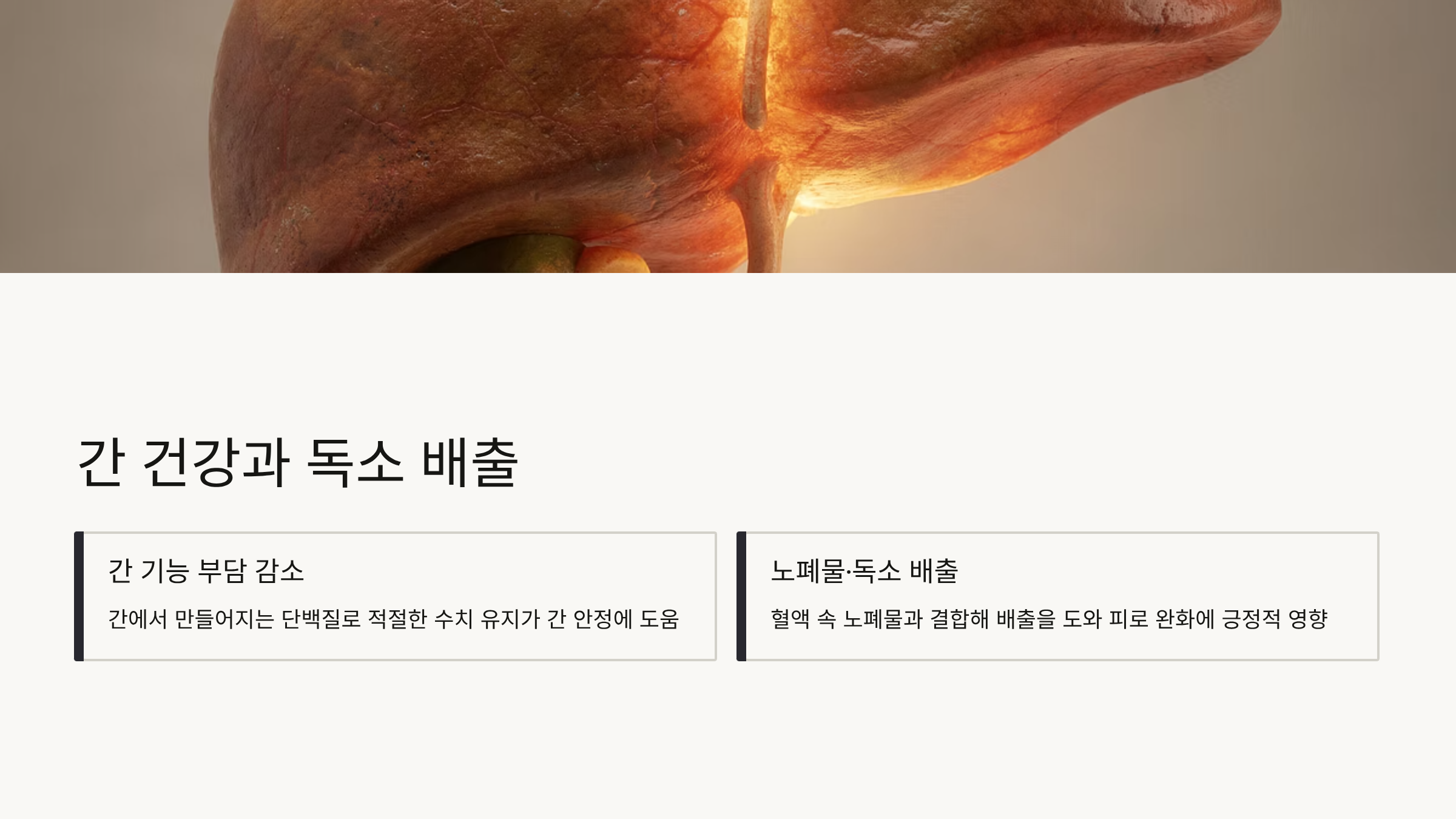 알부민의 효능 간 건강