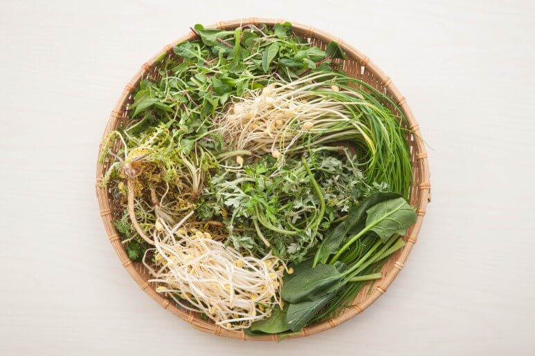 봄 제철음식 종류와 효능