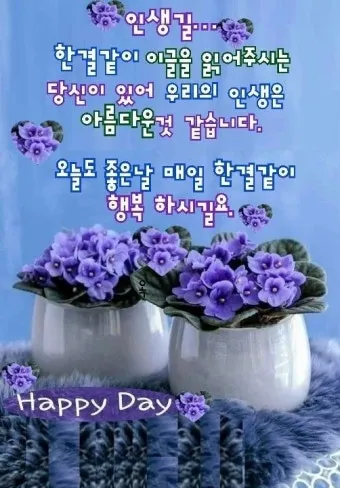 아침 인사로 좋은 글 이쁜글 기분좋은 인사말_7