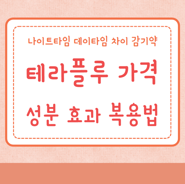 테라플루 가격 성분 효과 복용법