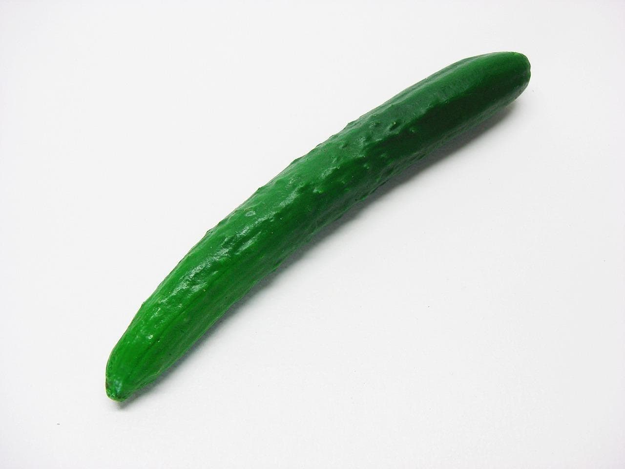 초여름이 되면 상추 자리를 오이가 이어받습니다