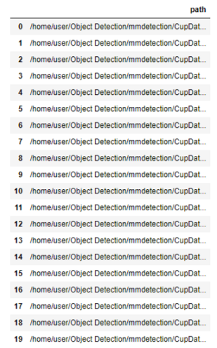 데이터프레임 출력