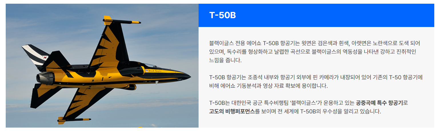 블랙이글스