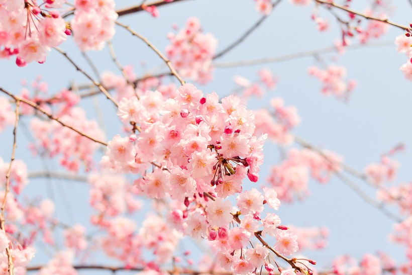 2월 28일까지 있는 이유