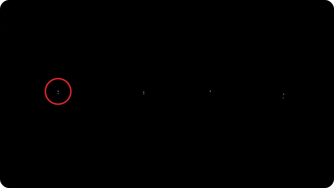 입질이-들어오는-모습