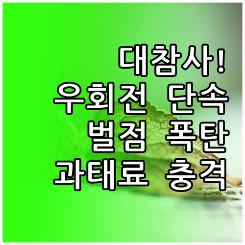 2026년 4월20일 시행 우회전 단..