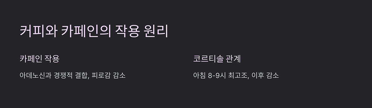 커피와 카페인의 작용 원리