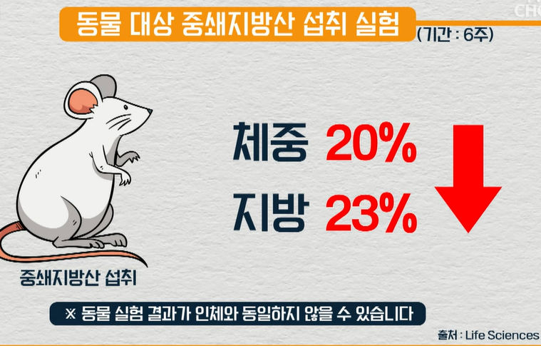 산양유 단백질 효능