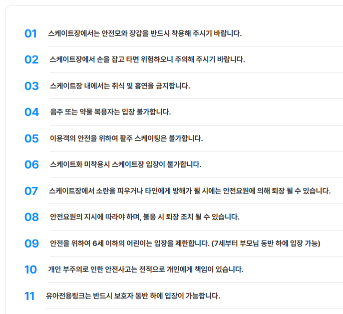 서울광장 스케이트장 유의사항 (서울특별시)