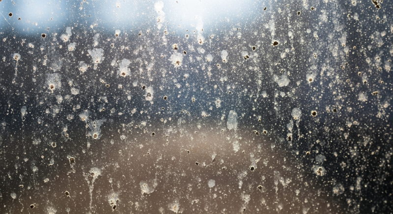 먼지 및 외부 오염물