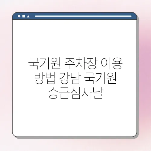 국기원 주차장 이용 방법 강남 국기원 승급심사날