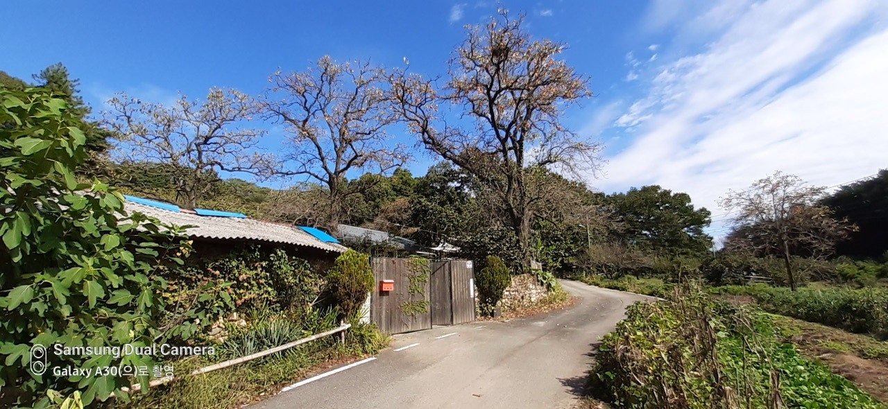 강진 시골 풍경