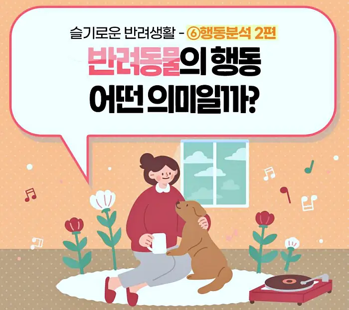 반려견 강아지의 행동 강박장애 어떤 행동이며 어떤 의미일까