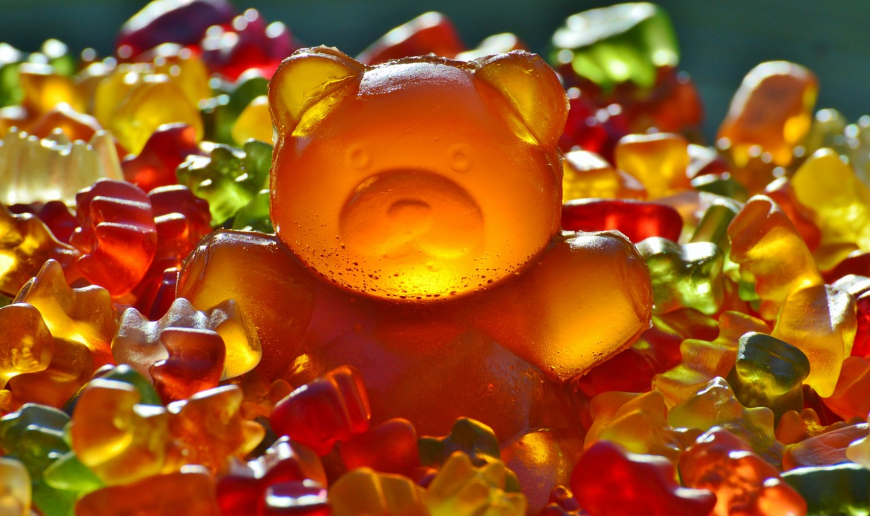 편의점 건강식? 다이어트 간식 추천 vs 비추천