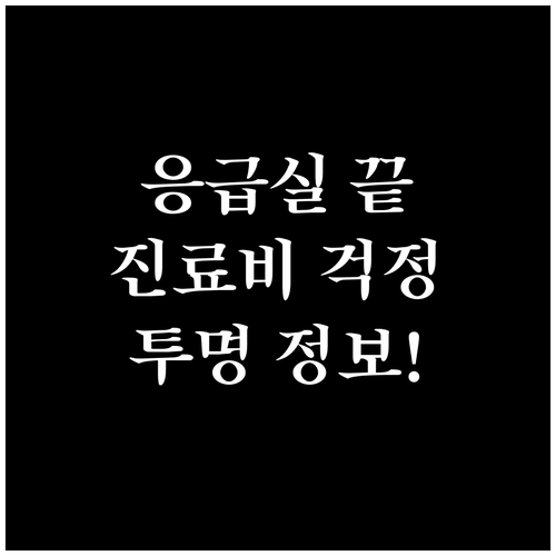 응급실 이용, 진료비 걱정 끝! 투명..