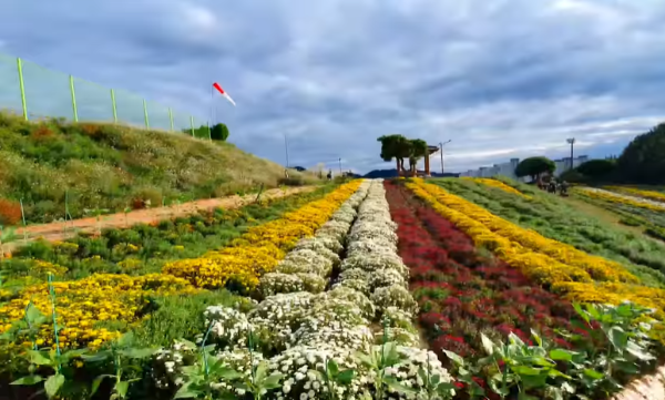 혼자만알고싶은여행지