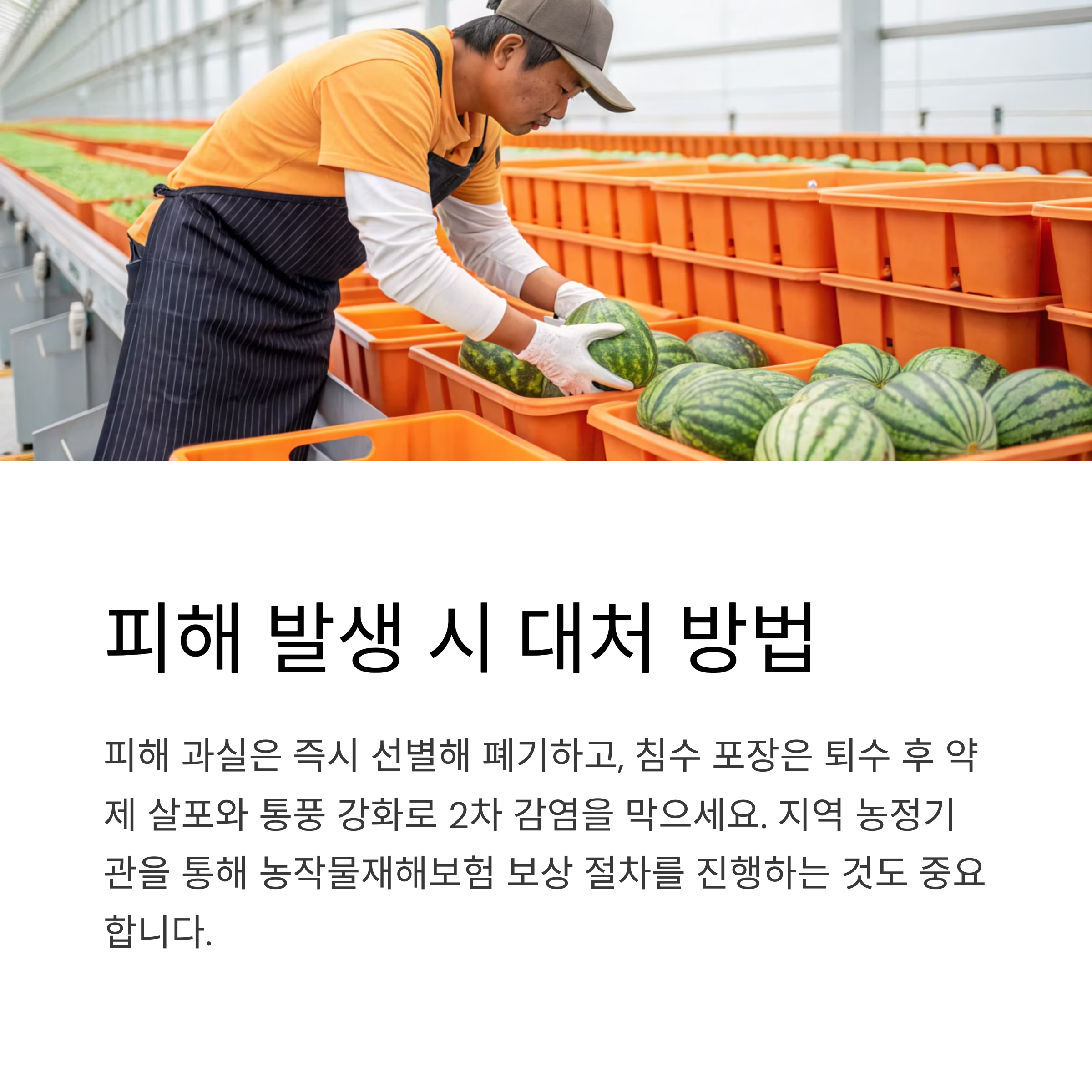 피해 발생 시 대처 방법