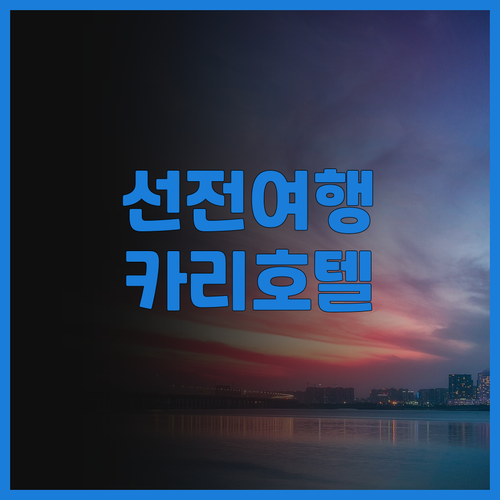 선전 여행객 필독 카리 호텔 후기 가..