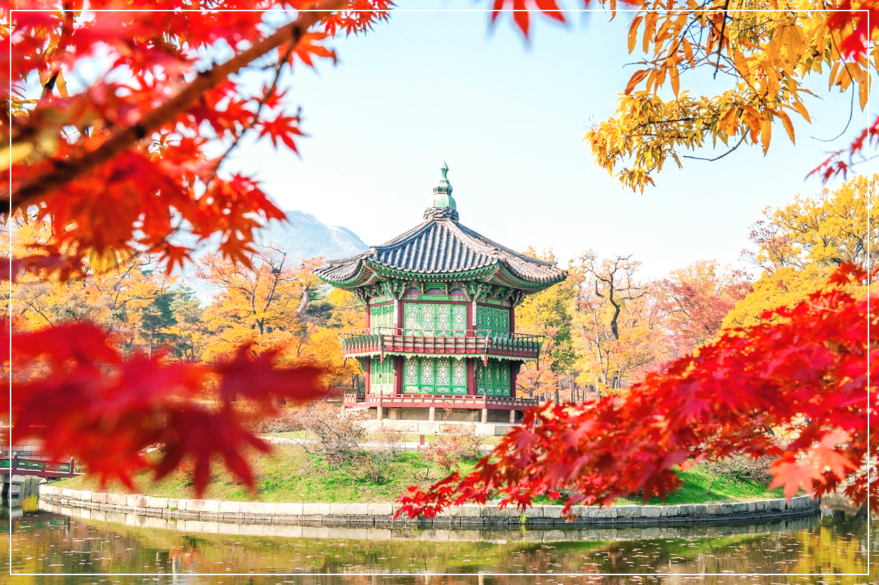 단풍이 깃든 경복궁의 아름다운 풍경