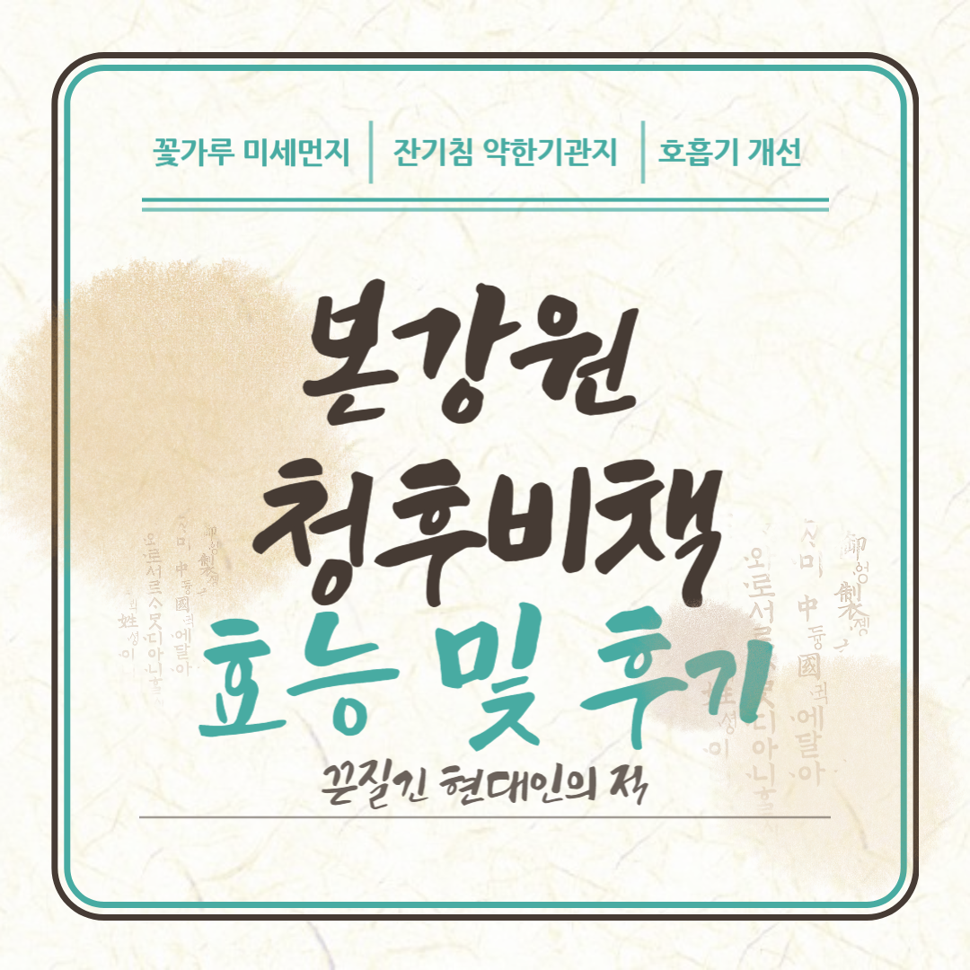 본강원 청후비책 효능 및 후기