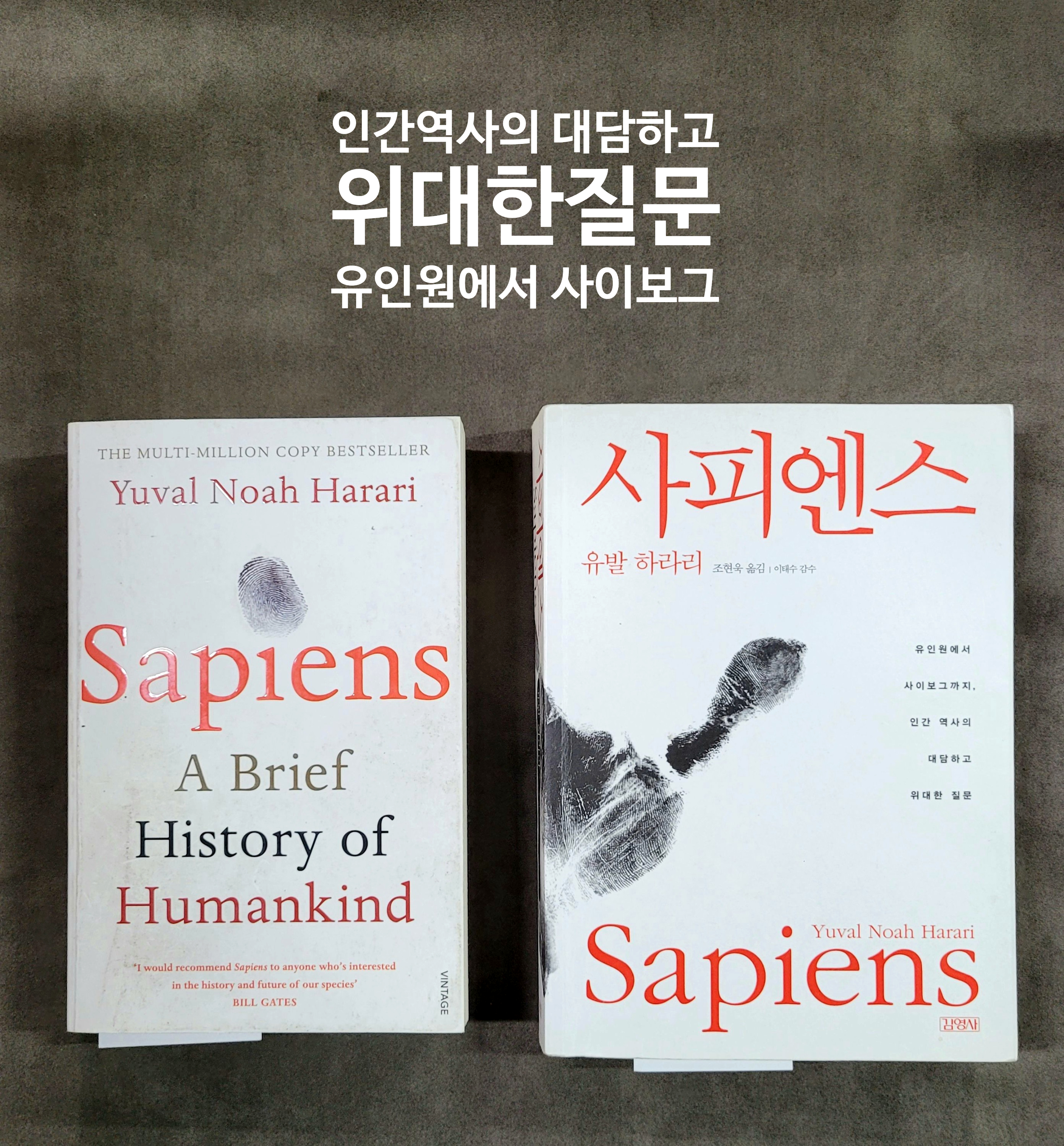 사피엔스