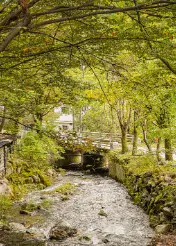 생방송투데이 오픈런 남양주 숲속 고추장 삼겹살 맛집