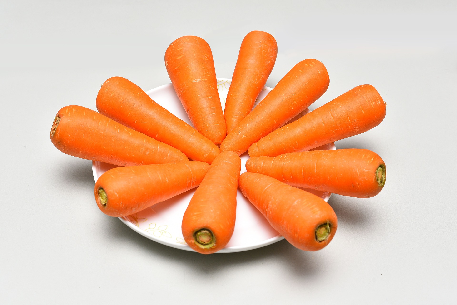 야생에서 채취를 한 당근을 잘 세척을 해서 잎을 제거하고 주황색의 뿌리부분만 추려서 흰바닥 위에 동그란 흰접시를 놓고 당근 10개를 동그랗게 시계처럼 둘러 놓고 찍은 사진