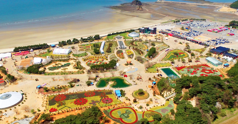 태안 세계 튤립 꽃박람회