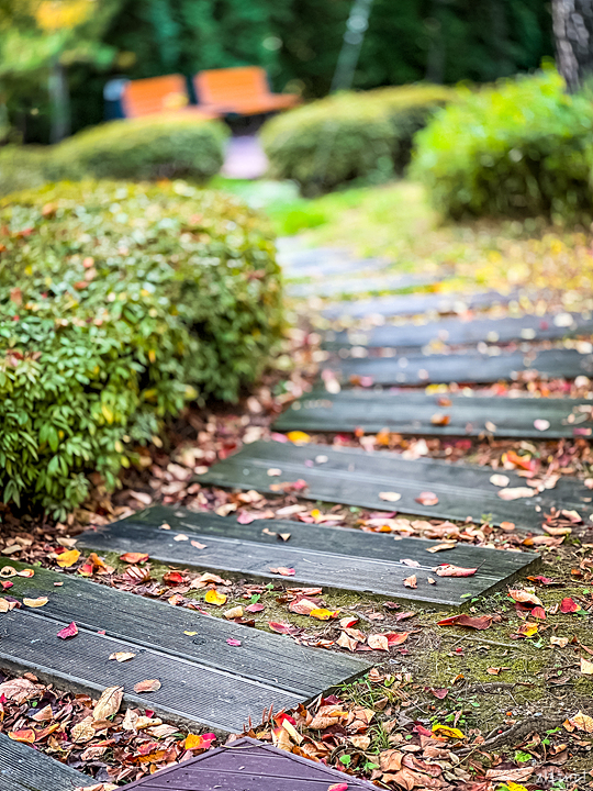 아이폰14 프로 스냅 인물사진 모드