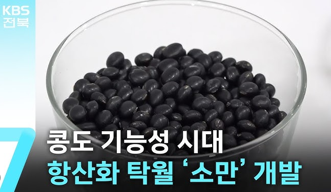 소만콩 구매 방법 진천농장 판매처 구별법 충북 소만 검정콩 효능 섭취