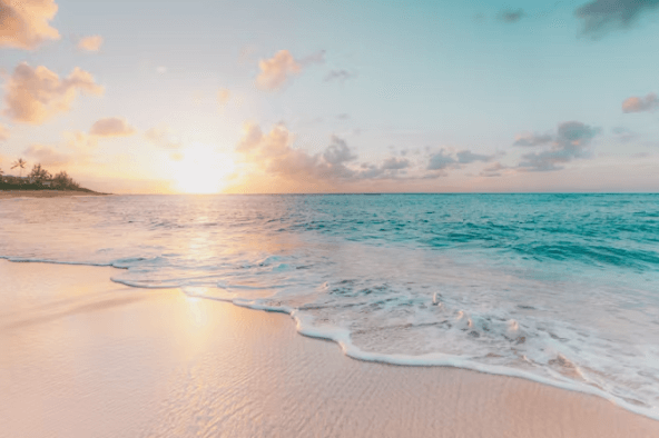 하와이 숙소 추천: BEST 리조트 &amp;호텔 총정리!