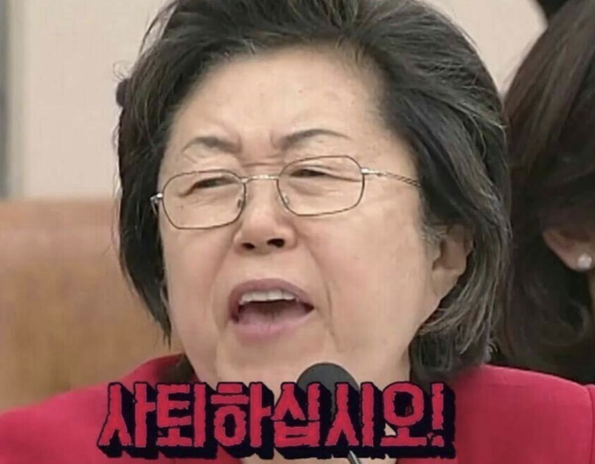 이은재 사퇴하세요