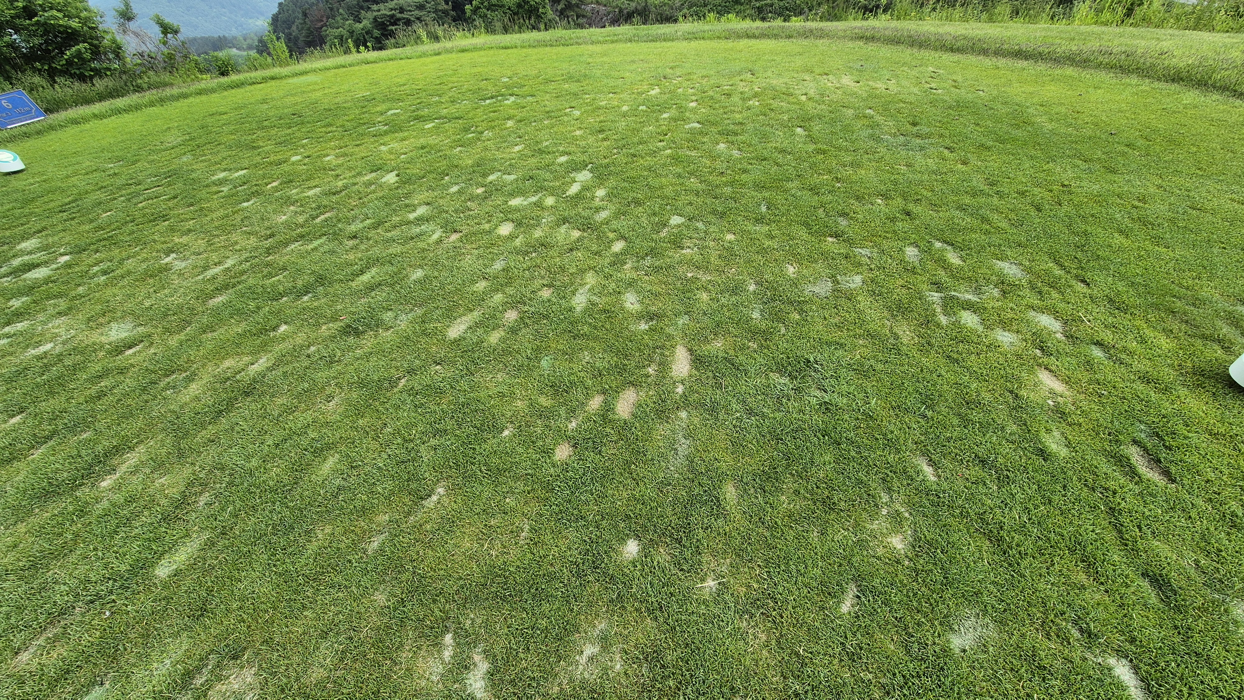 샴발라cc 라운드 후기