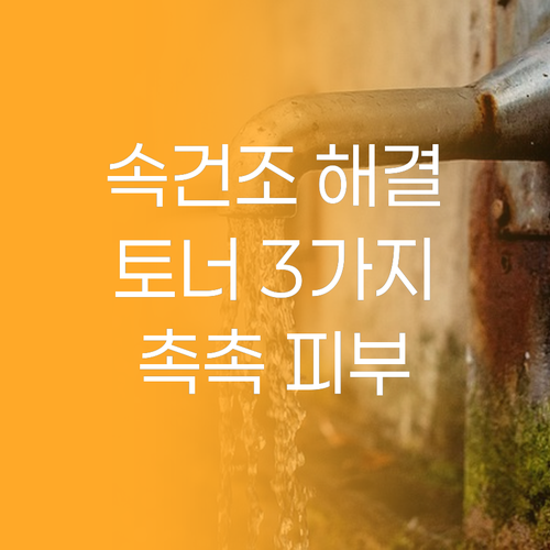 피부 속까지 촉촉하게 채우는 히알루론..