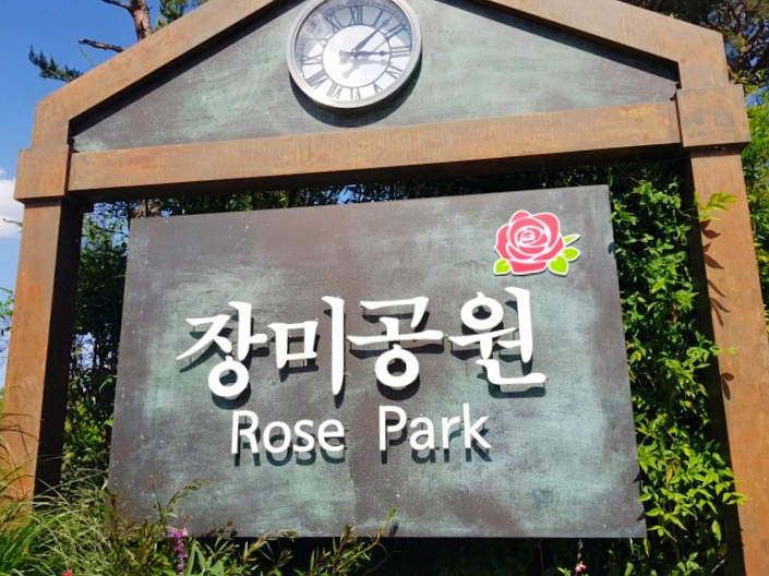 곡성 세계장미축체