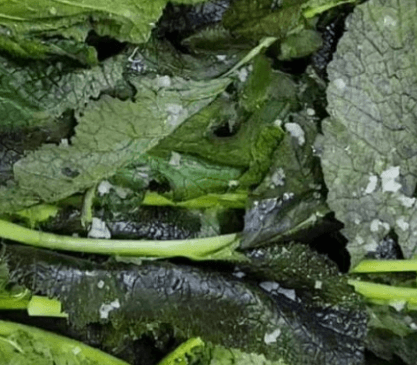 갓김치 맛있게 만드는 방법