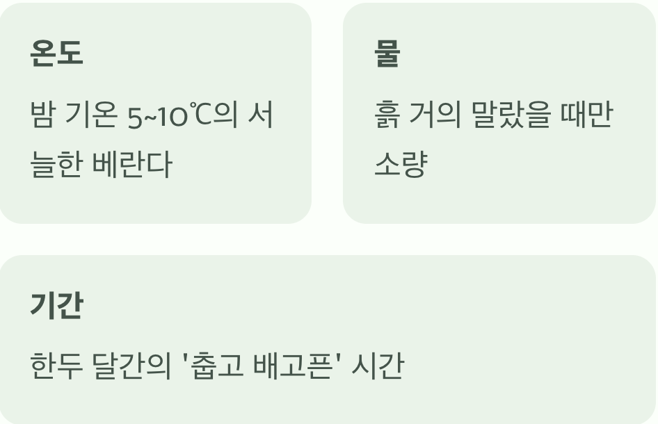 '겨울잠' 재우는 법