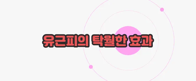 유근피 효능 궁금한 점, 풀어보죠