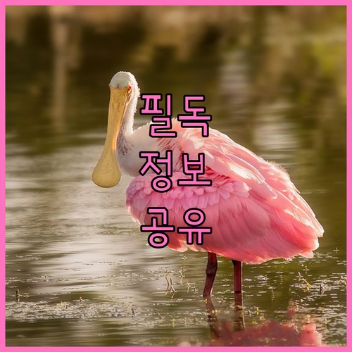 개인회생 변제 기간 연장 조건, 방법