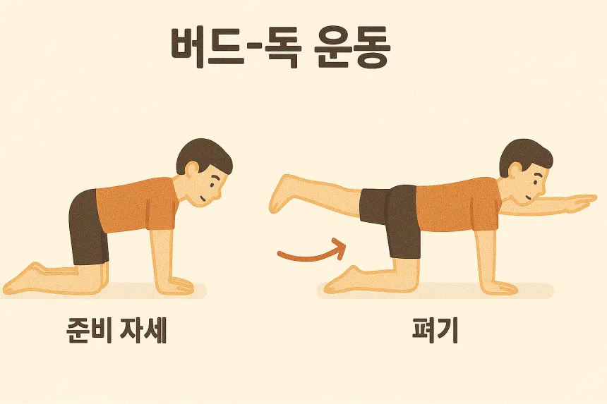 허리근육 강화운동